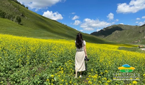 疫情防控必重视、安全文明首当先