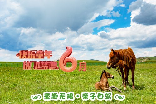 六大理由，告诉你为什么六月非来黄花沟不可！