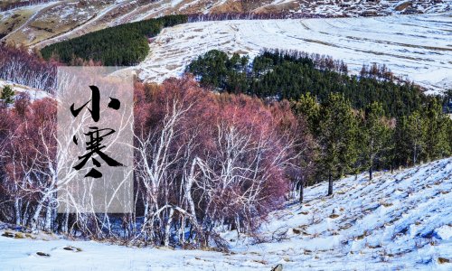 小寒 | 最寒冷的季节该如何养生，做好这几点很重要。