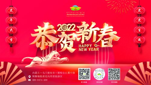 2022金虎送福！虎步奔腾展新颜，虎虎生威一整年！